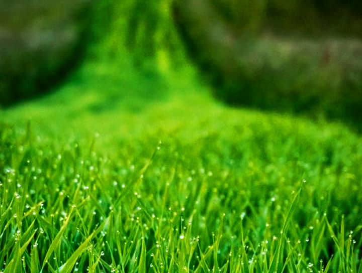 Lawn mowing