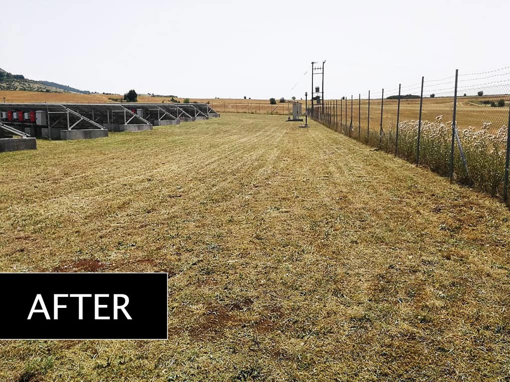 Lawn mowing in a 100KW park - Project No.2