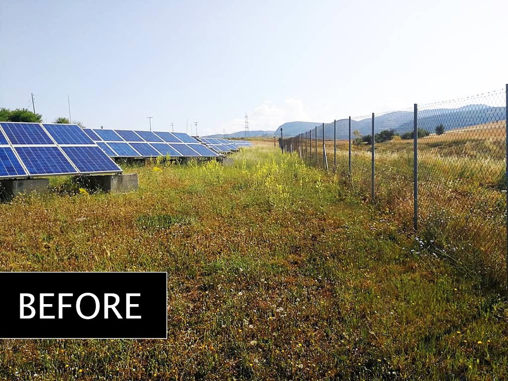 Lawn mowing in a 100KW park - Project No.3