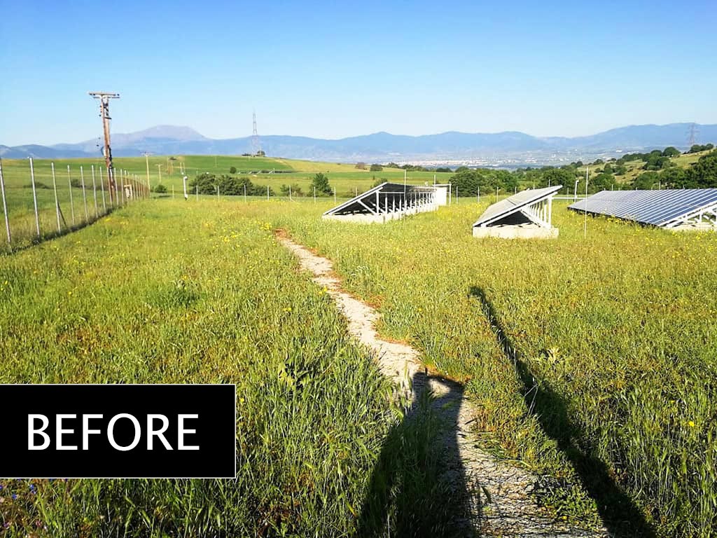 Lawn mowing in a 100KW park - Project No.4